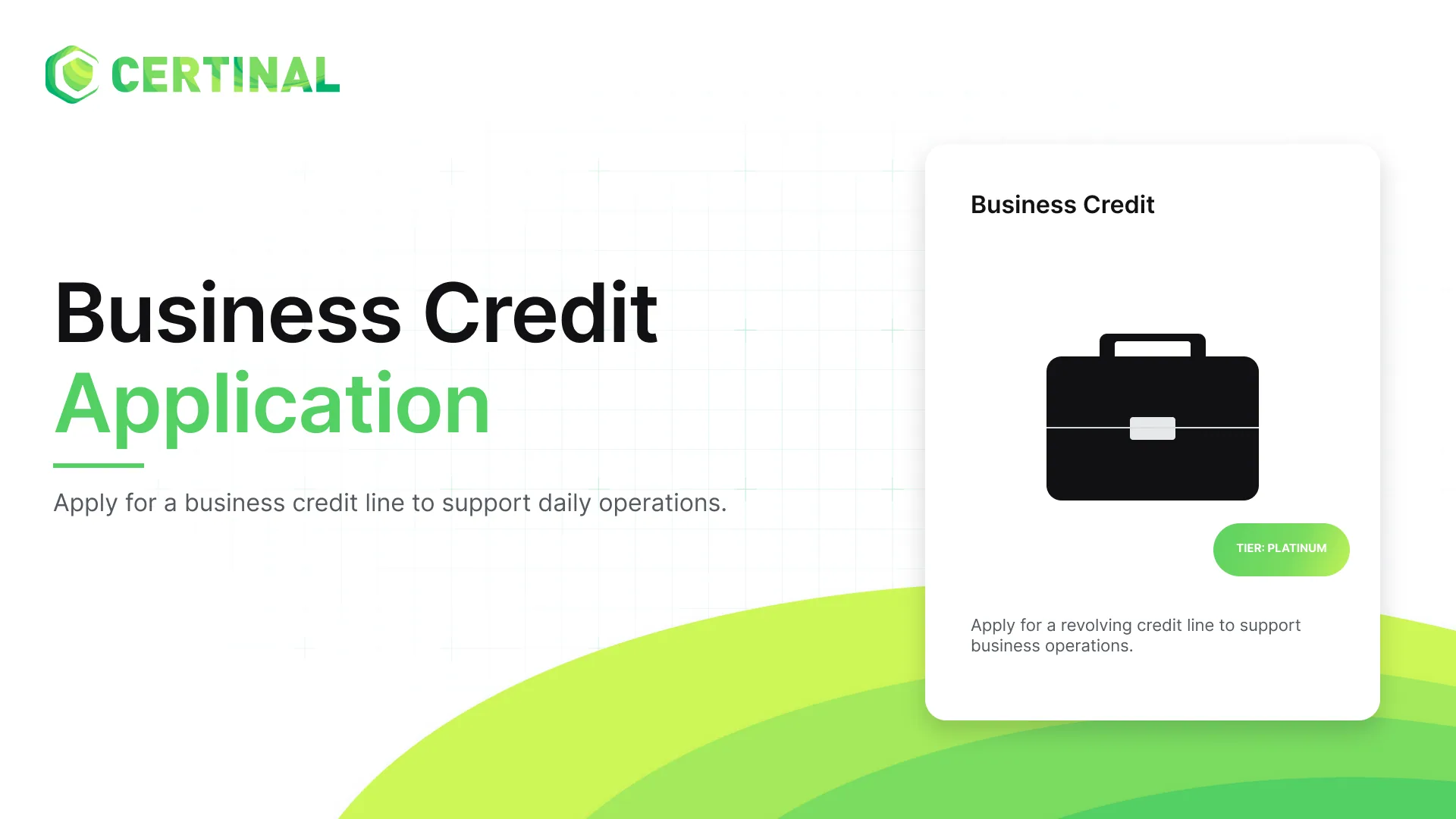 Business Credit Application Form