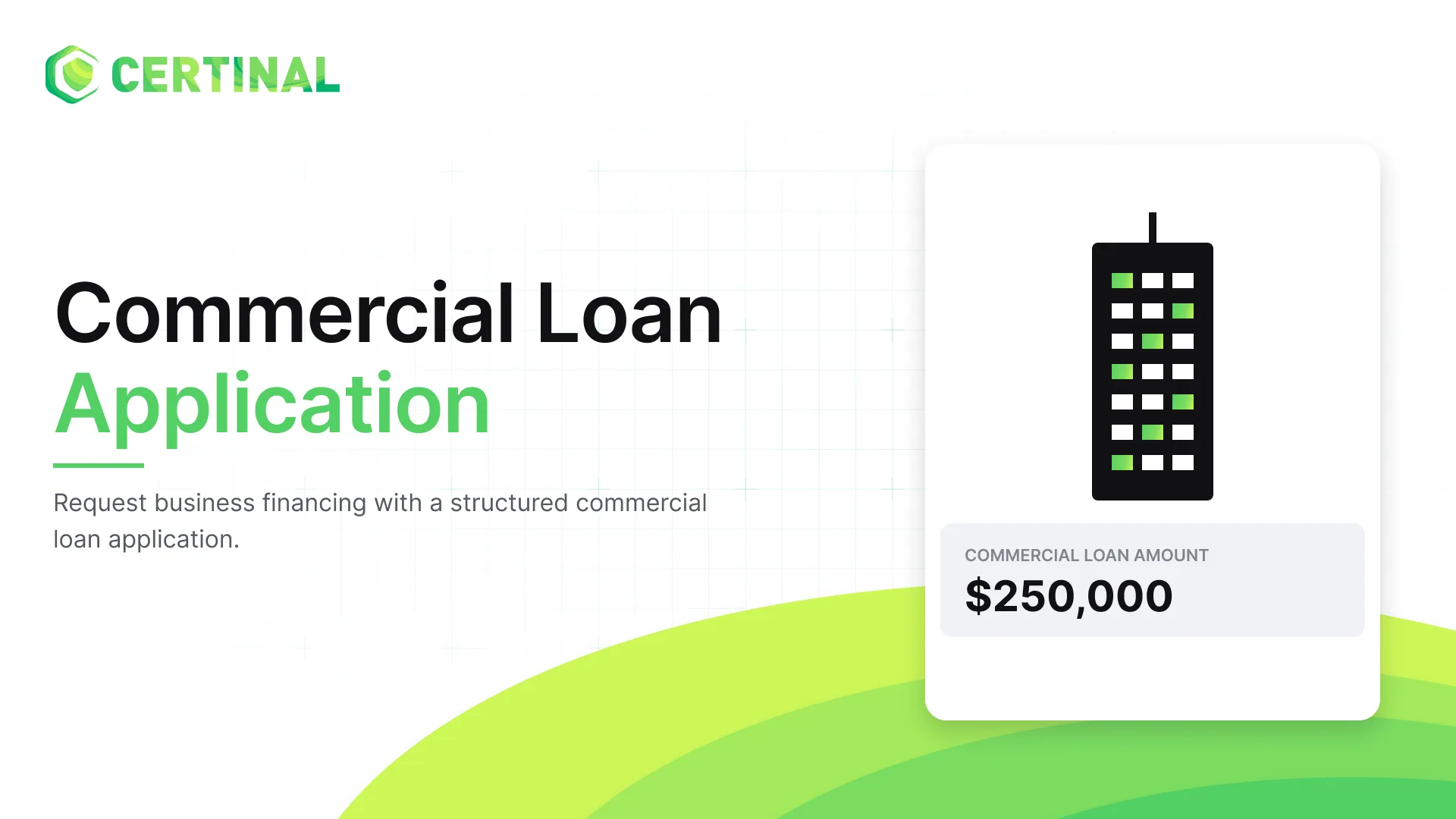 Commercial Loan Application Form