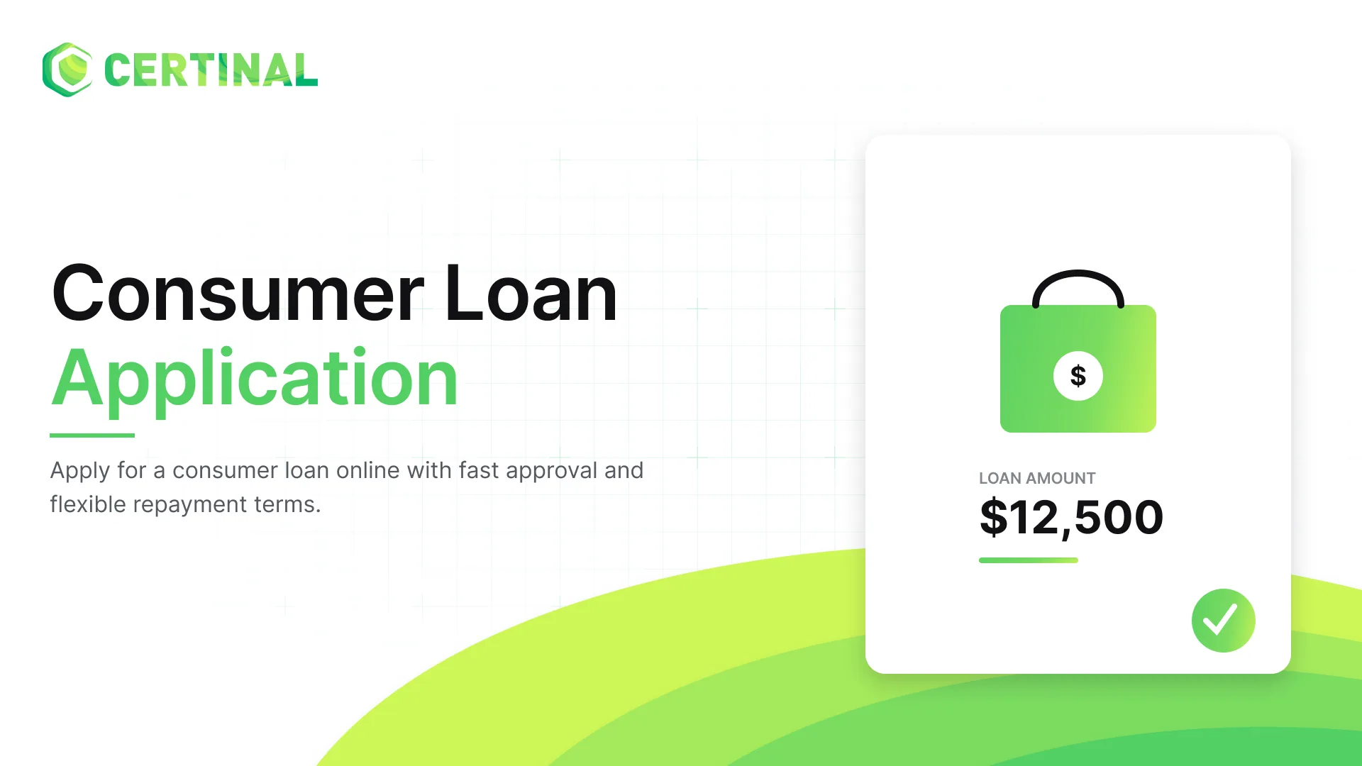 Consumer Loan Application