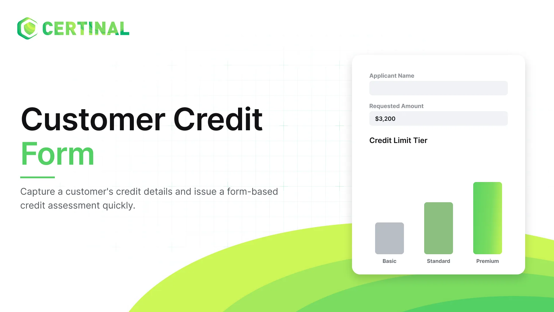Customer Credit Form