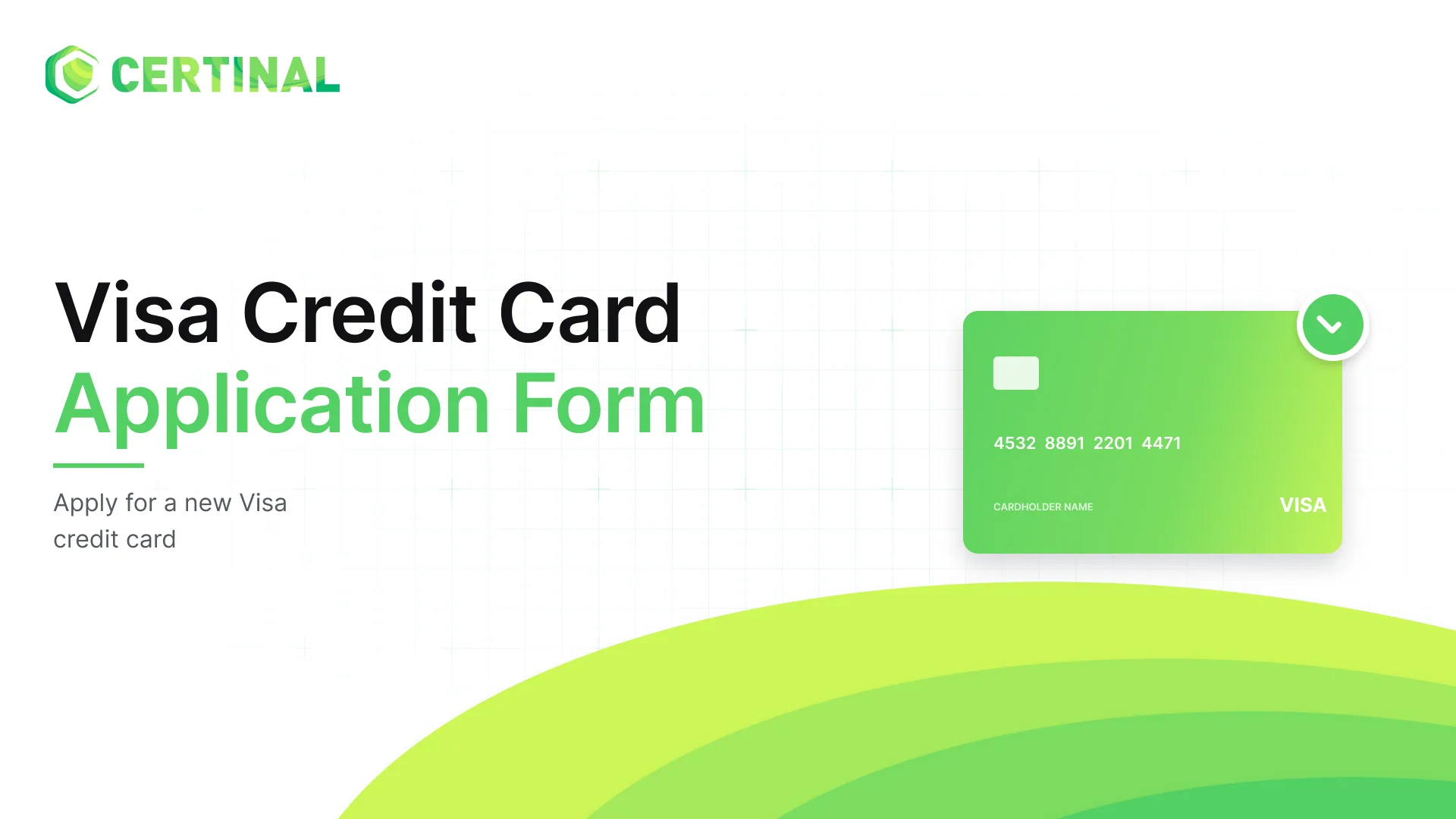 Visa Credit Card Application Form
