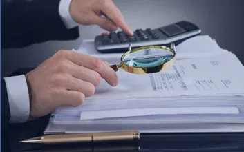 detailed audit