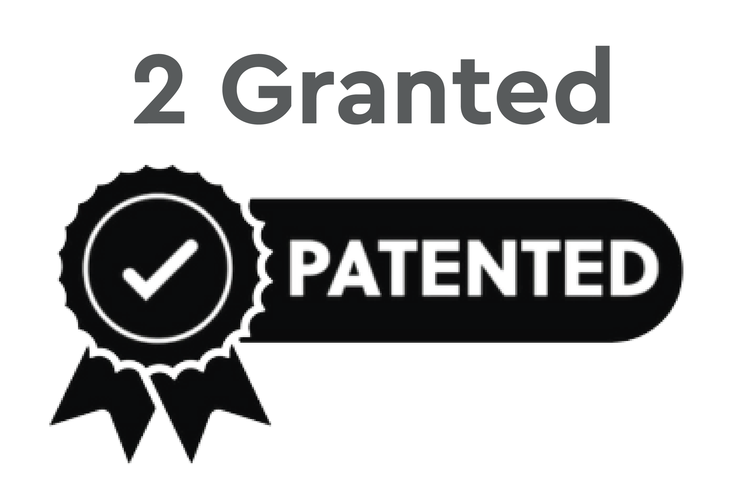 2 Granted - Patented